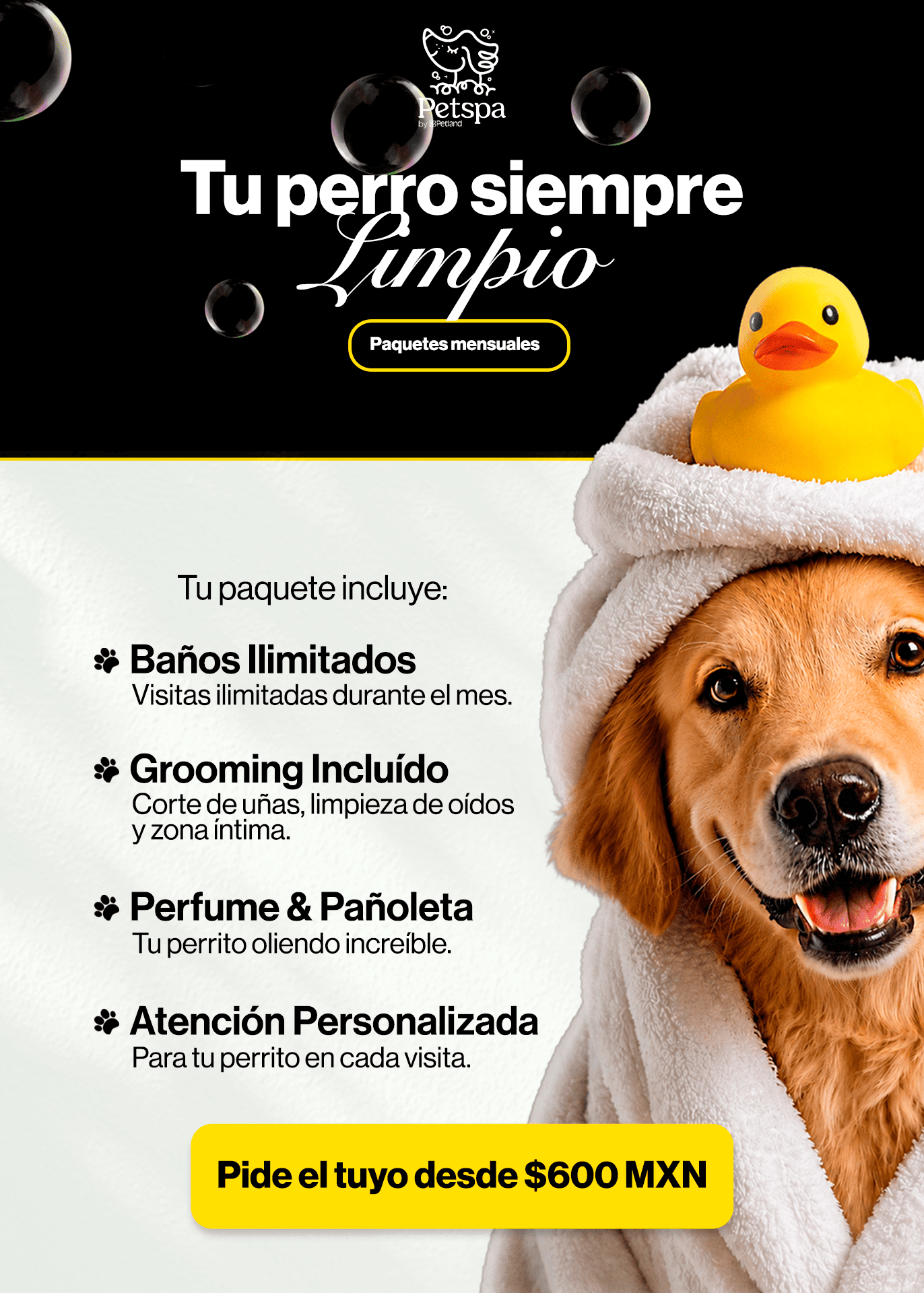 PetSpa-Julio