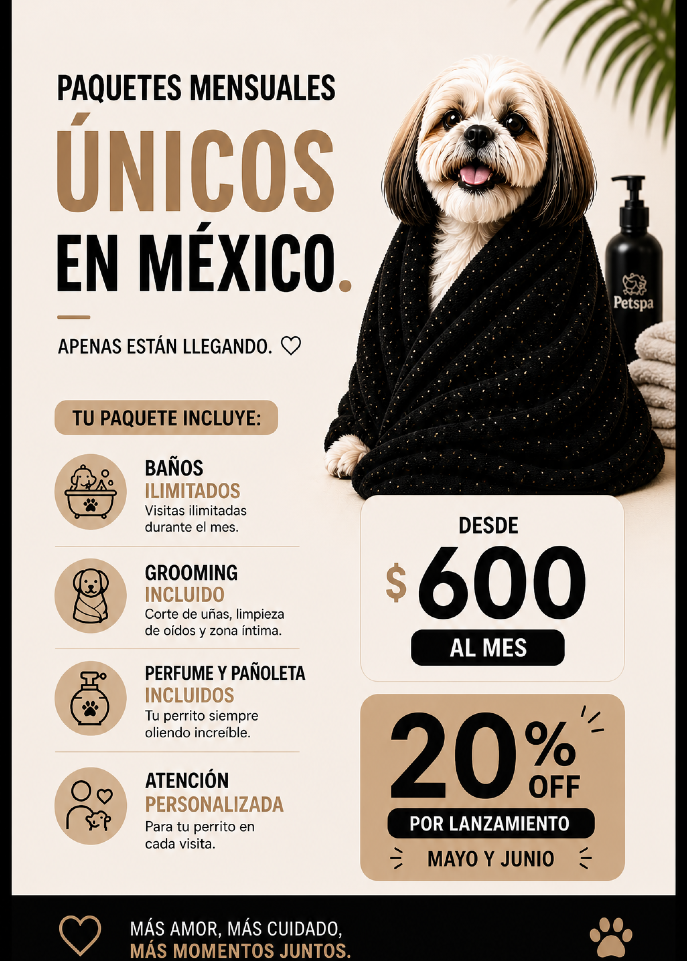 Paquetes mensuales
