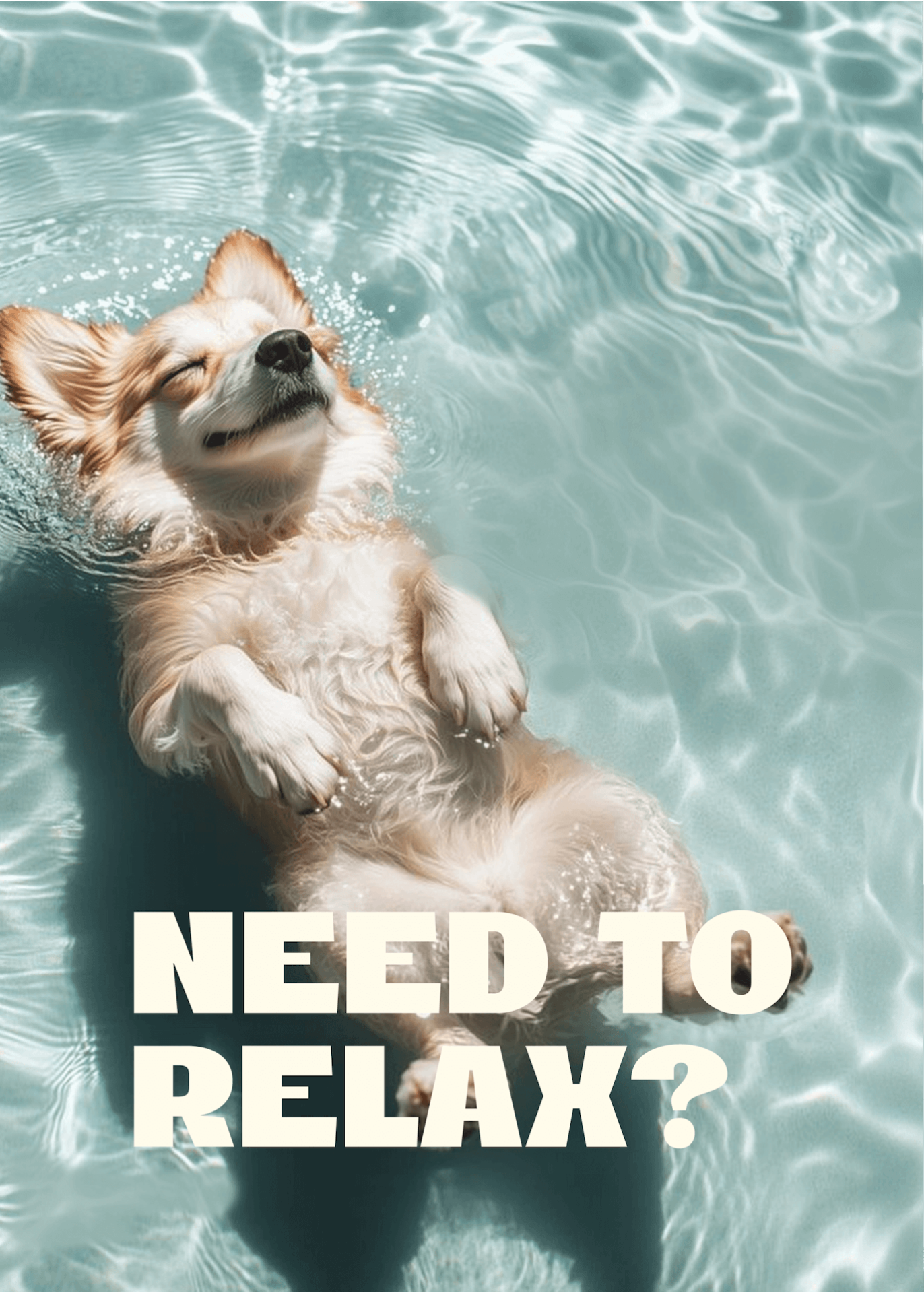 Recibe el 40% en un primer baño